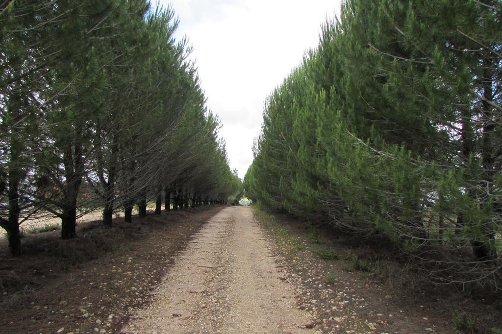 منزل الضيف مونتارجيل  في Monte Da Tojeirinha المظهر الخارجي الصورة