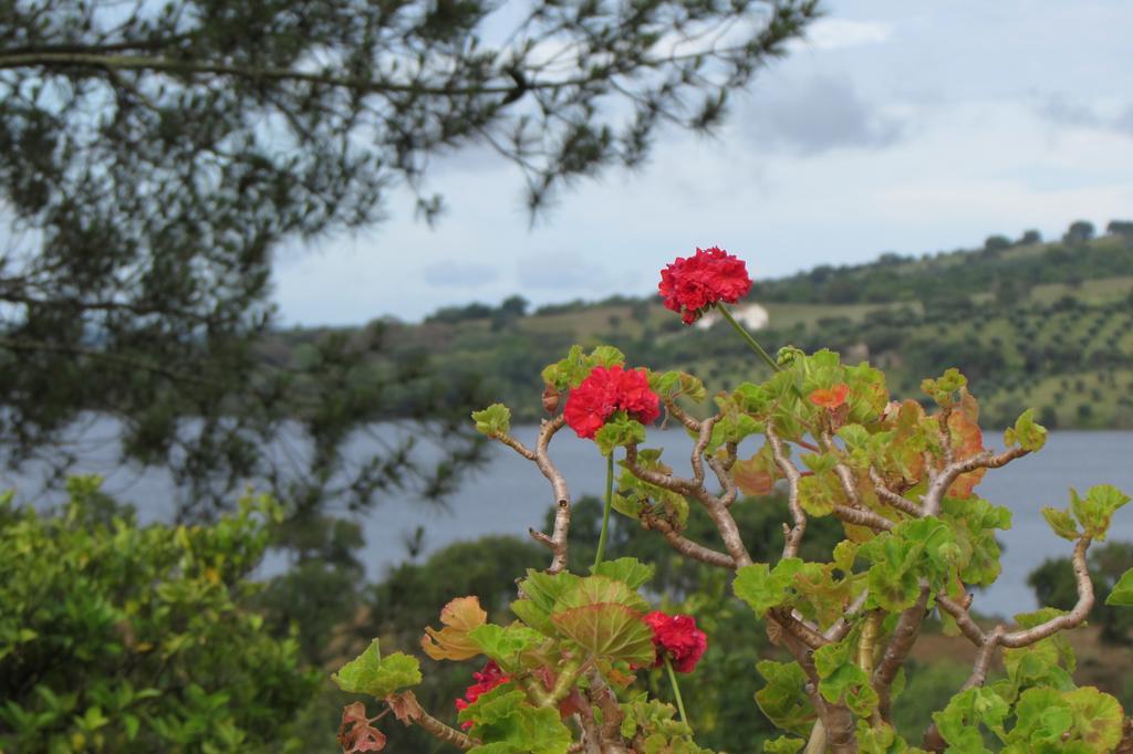 منزل الضيف مونتارجيل  في Monte Da Tojeirinha المظهر الخارجي الصورة