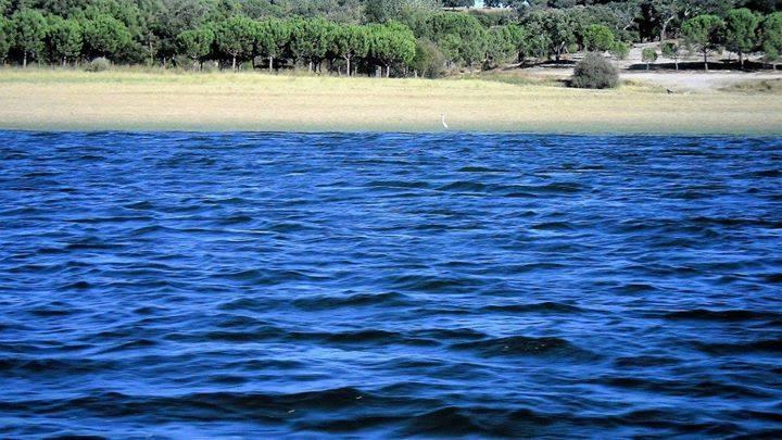 منزل الضيف مونتارجيل  في Monte Da Tojeirinha المظهر الخارجي الصورة